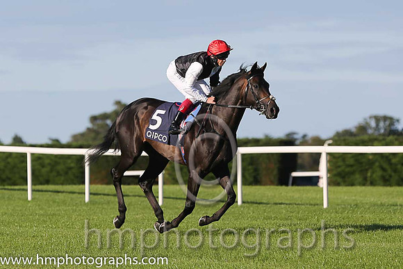 1st Golden Horn ( 5 ) - black and white hlvd ( Frankie Dettori ) : Trainer - John Gosden