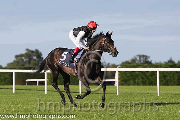 1st Golden Horn ( 5 ) - black and white hlvd ( Frankie Dettori ) : Trainer - John Gosden