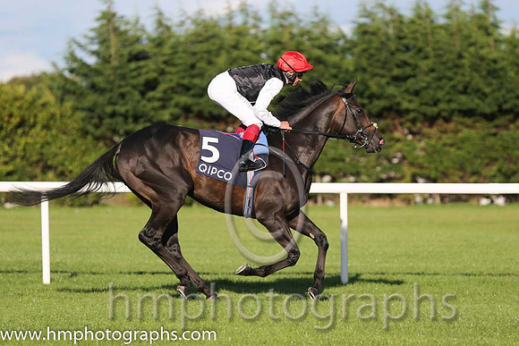 1st Golden Horn ( 5 ) - black and white hlvd ( Frankie Dettori ) : Trainer - John Gosden