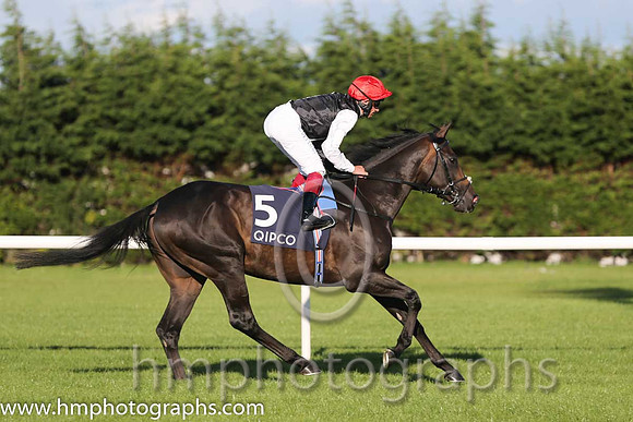 1st Golden Horn ( 5 ) - black and white hlvd ( Frankie Dettori ) : Trainer - John Gosden