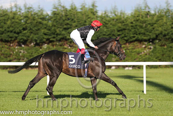 1st Golden Horn ( 5 ) - black and white hlvd ( Frankie Dettori ) : Trainer - John Gosden