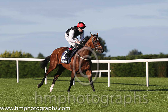 3rd Free Eagle ( 2 ) - black, white sleeves ( Pat Smullen ) : Trainer - D K Weld