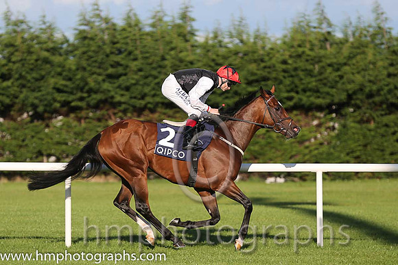 3rd Free Eagle ( 2 ) - black, white sleeves ( Pat Smullen ) : Trainer - D K Weld