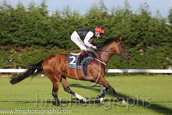 3rd Free Eagle ( 2 ) - black, white sleeves ( Pat Smullen ) : Trainer - D K Weld