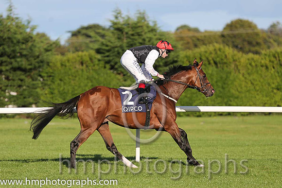 3rd Free Eagle ( 2 ) - black, white sleeves ( Pat Smullen ) : Trainer - D K Weld