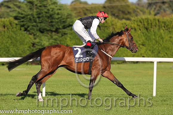 3rd Free Eagle ( 2 ) - black, white sleeves ( Pat Smullen ) : Trainer - D K Weld