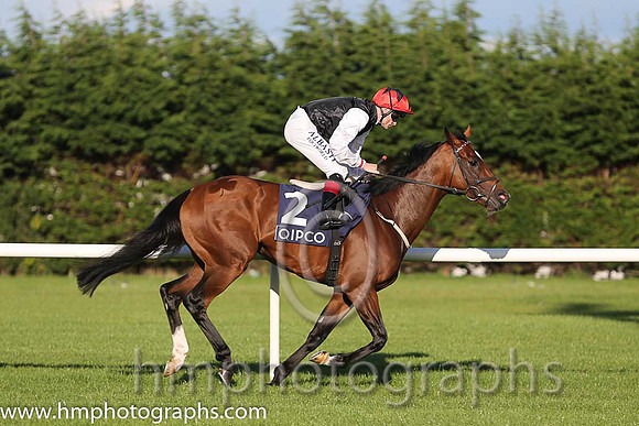 3rd Free Eagle ( 2 ) - black, white sleeves ( Pat Smullen ) : Trainer - D K Weld