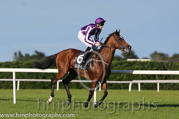 5th Highland Reel ( 6 ) - purple, white seams ( Joseph O'Brien ) : Trainer - A P O'Brien