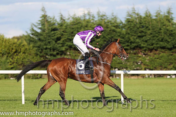 5th Highland Reel ( 6 ) - purple, white seams ( Joseph O'Brien ) : Trainer - A P O'Brien