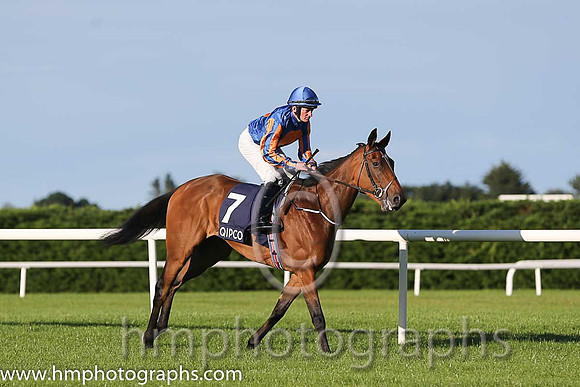 2nd Found ( 7 ) - royal blue, orange disc ( Seamie Heffernan ) : Trainer - A P O'Brien