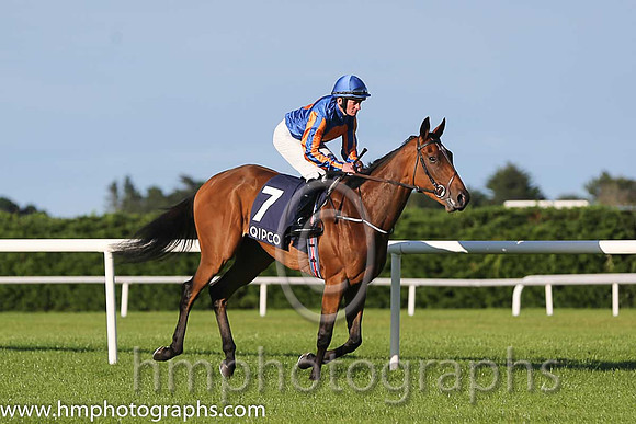 2nd Found ( 7 ) - royal blue, orange disc ( Seamie Heffernan ) : Trainer - A P O'Brien