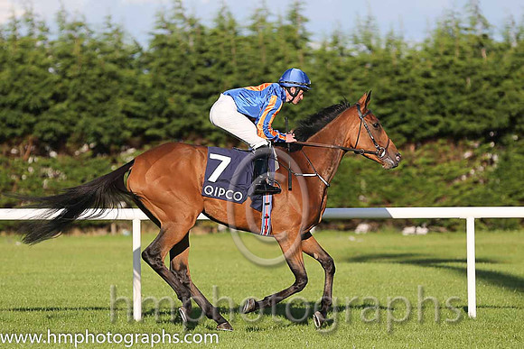 2nd Found ( 7 ) - royal blue, orange disc ( Seamie Heffernan ) : Trainer - A P O'Brien