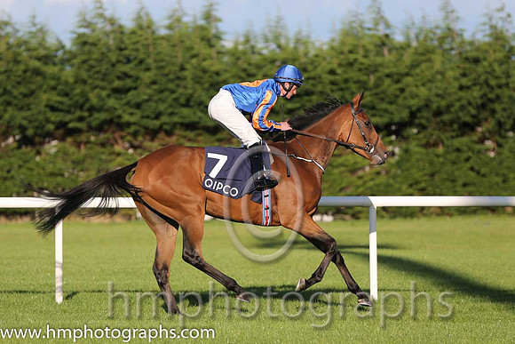 2nd Found ( 7 ) - royal blue, orange disc ( Seamie Heffernan ) : Trainer - A P O'Brien