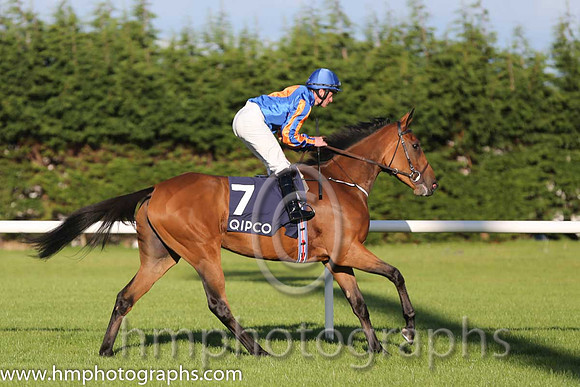 2nd Found ( 7 ) - royal blue, orange disc ( Seamie Heffernan ) : Trainer - A P O'Brien