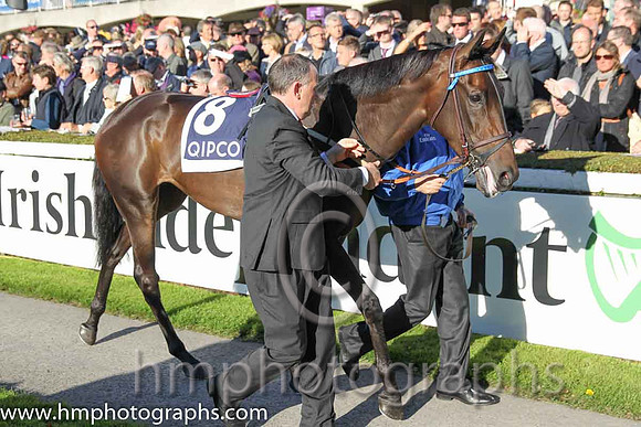 4th Pleascach ( 8 ) - royal blue, dark blue seams ( Kevin Manning ) : Trainer - J S Bolger