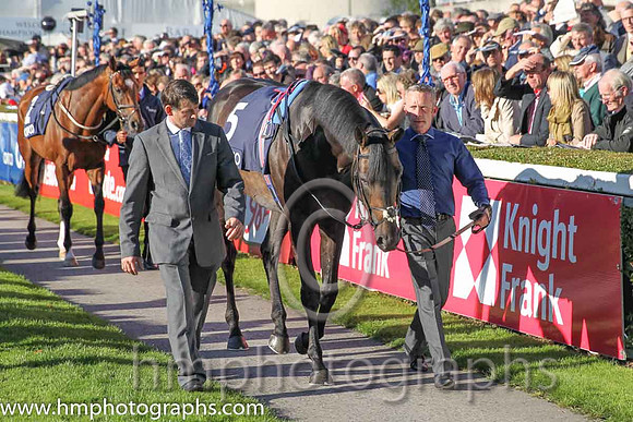 1st Golden Horn ( 5 ) - black and white hlvd ( Frankie Dettori ) : Trainer - John Gosden