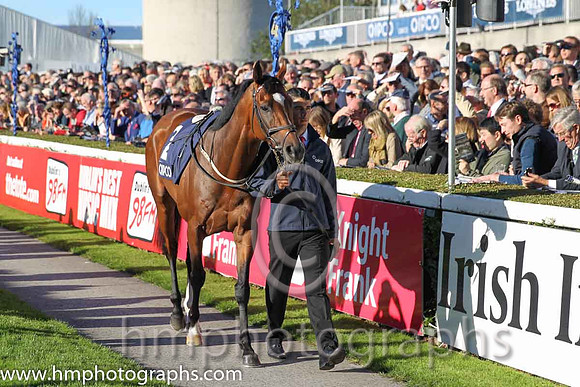 3rd Free Eagle ( 2 ) - black, white sleeves ( Pat Smullen ) : Trainer - D K Weld