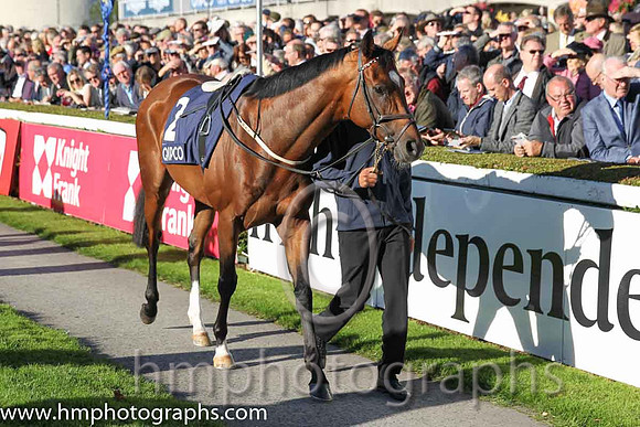 3rd Free Eagle ( 2 ) - black, white sleeves ( Pat Smullen ) : Trainer - D K Weld
