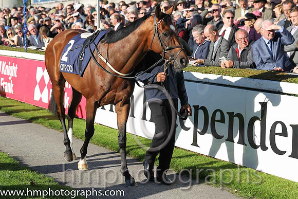 3rd Free Eagle ( 2 ) - black, white sleeves ( Pat Smullen ) : Trainer - D K Weld