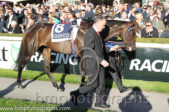 4th Pleascach ( 8 ) - royal blue, dark blue seams ( Kevin Manning ) : Trainer - J S Bolger
