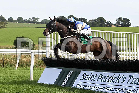 Glens Ruby 9th, Jockey A E Lynch - FT8E3104-e