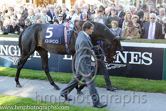 1st Golden Horn F ( 5 ) - black and white hlvd ( Frankie Dettori ) : Trainer - John Gosden