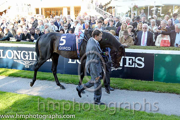 1st Golden Horn F ( 5 ) - black and white hlvd ( Frankie Dettori ) : Trainer - John Gosden