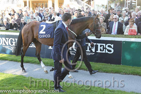 3rd Free Eagle ( 2 ) - black, white sleeves ( Pat Smullen ) : Trainer - D K Weld