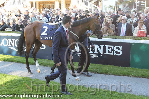 3rd Free Eagle ( 2 ) - black, white sleeves ( Pat Smullen ) : Trainer - D K Weld