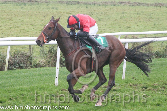 04 Ange D'Or Javilex and Mr R J Kiely - - 04th (7 ,Red, black star ) Trainer - P Fenton