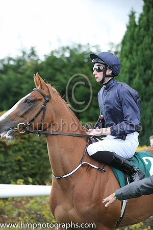 2nd Coolmore ( 2 ) - Dark Blue ( Joseph O'Brien ) : Trainer - A P O'Brien