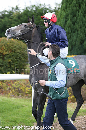 10th Predilecta ( 9 ) - dark blue, red and white qtrd cap ( Connor King ) : Trainer - J P Murtagh