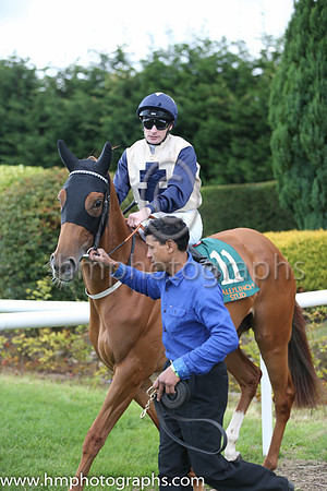 4th Red Stars ( 11 ) - beige, dark blue cross ( Declan McDonogh ) : Trainer - John M Oxx