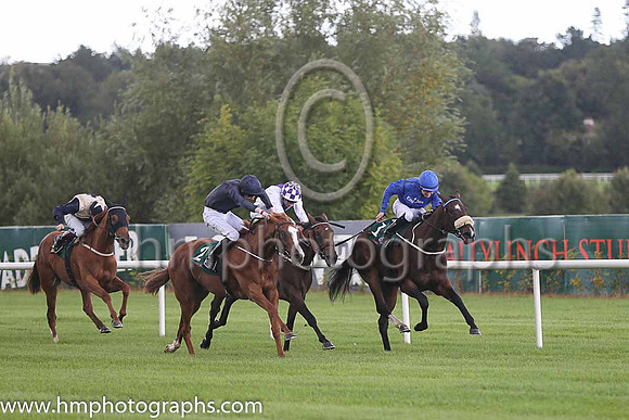1st Anamba ( 1 ) - Royal Blue, dark blue seams ( Shane Foley ) : Trainer - M Halford