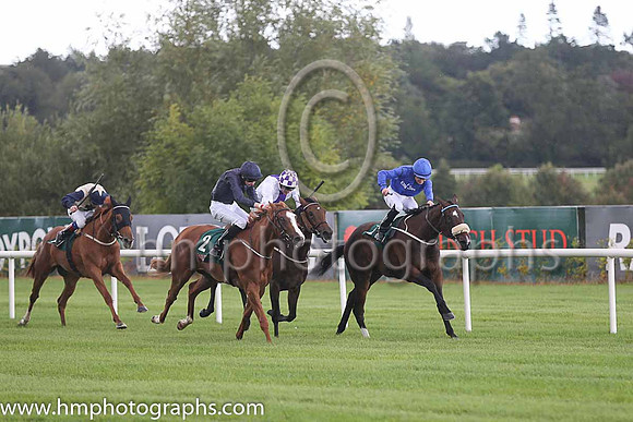 1st Anamba ( 1 ) - Royal Blue, dark blue seams ( Shane Foley ) : Trainer - M Halford