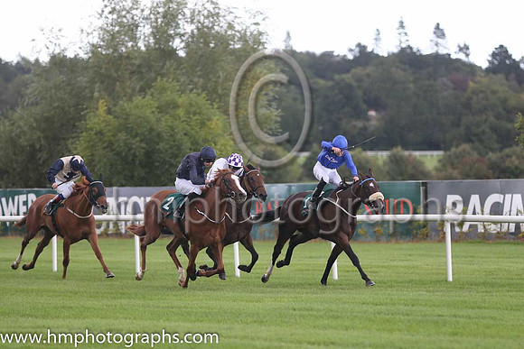 1st Anamba ( 1 ) - Royal Blue, dark blue seams ( Shane Foley ) : Trainer - M Halford