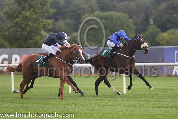 1st Anamba ( 1 ) - Royal Blue, dark blue seams ( Shane Foley ) : Trainer - M Halford