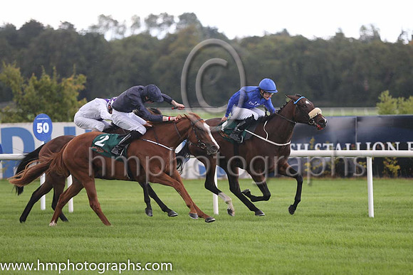 1st Anamba ( 1 ) - Royal Blue, dark blue seams ( Shane Foley ) : Trainer - M Halford