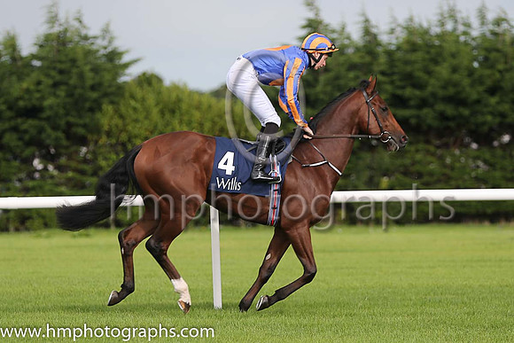 1st Johannes Vermeer ( 4 ) - royal blue, orange disc ( Joseph O'Brien ) : Trainer - A P O'Brien
