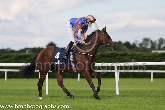 1st Johannes Vermeer ( 4 ) - royal blue, orange disc ( Joseph O'Brien ) : Trainer - A P O'Brien