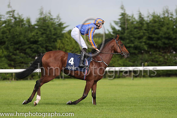 1st Johannes Vermeer ( 4 ) - royal blue, orange disc ( Joseph O'Brien ) : Trainer - A P O'Brien