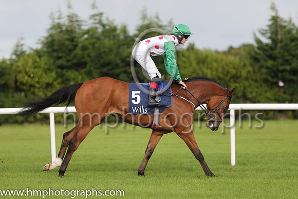 6th Moral High Ground ( 5 ) - white, red spots ( Emmet McNamara ) : Trainer - M D O'Callaghan