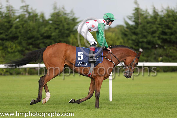 6th Moral High Ground ( 5 ) - white, red spots ( Emmet McNamara ) : Trainer - M D O'Callaghan
