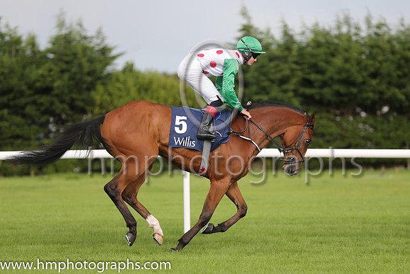 6th Moral High Ground ( 5 ) - white, red spots ( Emmet McNamara ) : Trainer - M D O'Callaghan