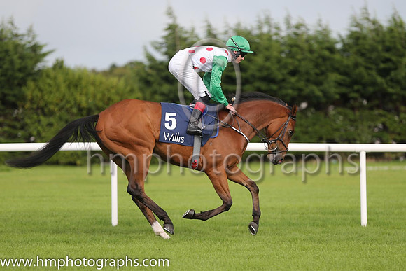6th Moral High Ground ( 5 ) - white, red spots ( Emmet McNamara ) : Trainer - M D O'Callaghan