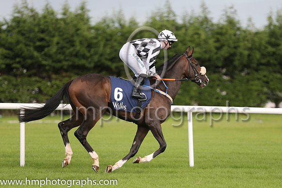 7th Play The Game ( 6 ) - white  black diamonds ( Gary Carroll ) : Trainer - John C McConnell