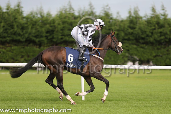 7th Play The Game ( 6 ) - white  black diamonds ( Gary Carroll ) : Trainer - John C McConnell