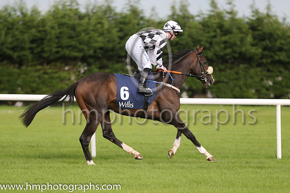 7th Play The Game ( 6 ) - white  black diamonds ( Gary Carroll ) : Trainer - John C McConnell