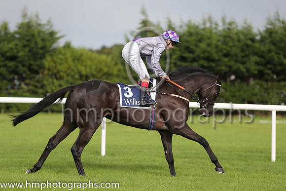 9th Escondida ( 3 ) - grey, purple panel ( 0 ) : Trainer - J S Bolger