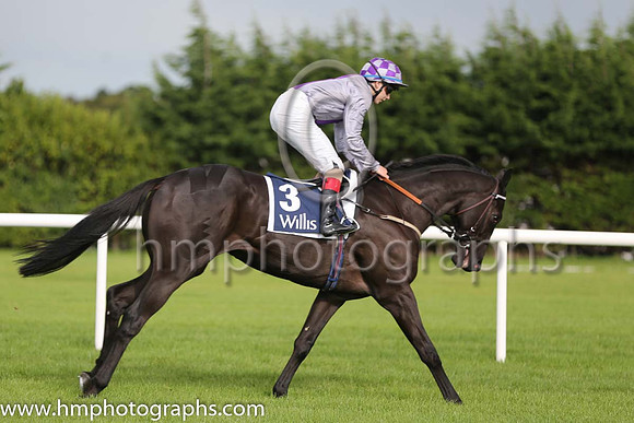 9th Escondida ( 3 ) - grey, purple panel ( 0 ) : Trainer - J S Bolger
